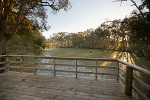 Viewing Platform across Lake Renaissance